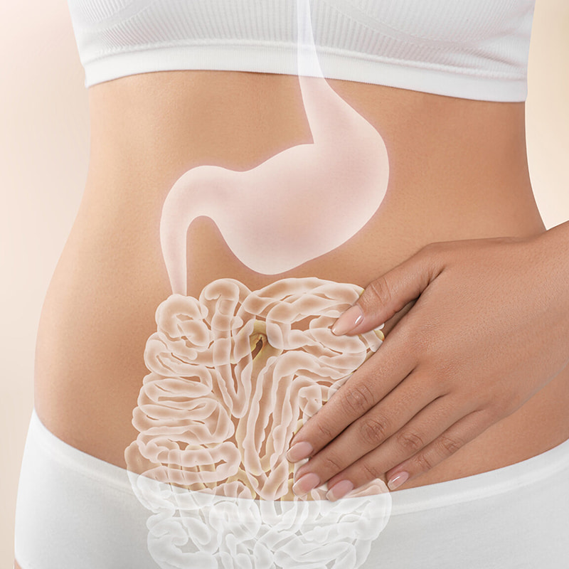 دستگاه تشکیل ورمیشل منجمد برای محصولات فریز خشک شده سلامت دستگاه گوارش